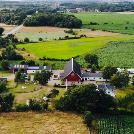Roedlix Vandrarhem & Camping Tvååker Exteriér fotografie
